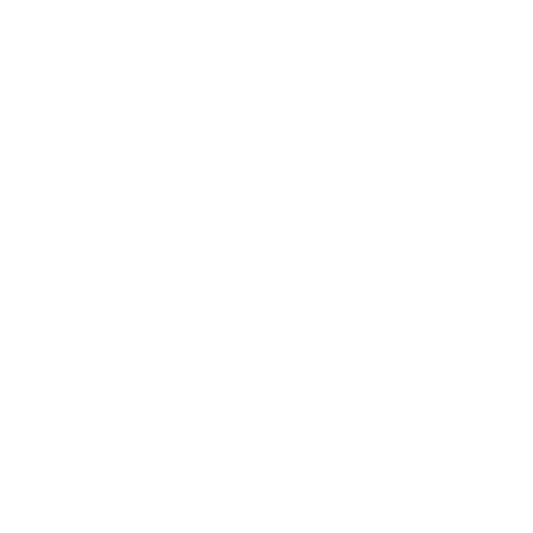 nikken oficial